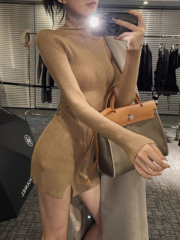 Kadınlar için Dar Kesim, Mini, - Bodycon Long Sleeve Ribbed Dress incelemesi ve fiyatı
